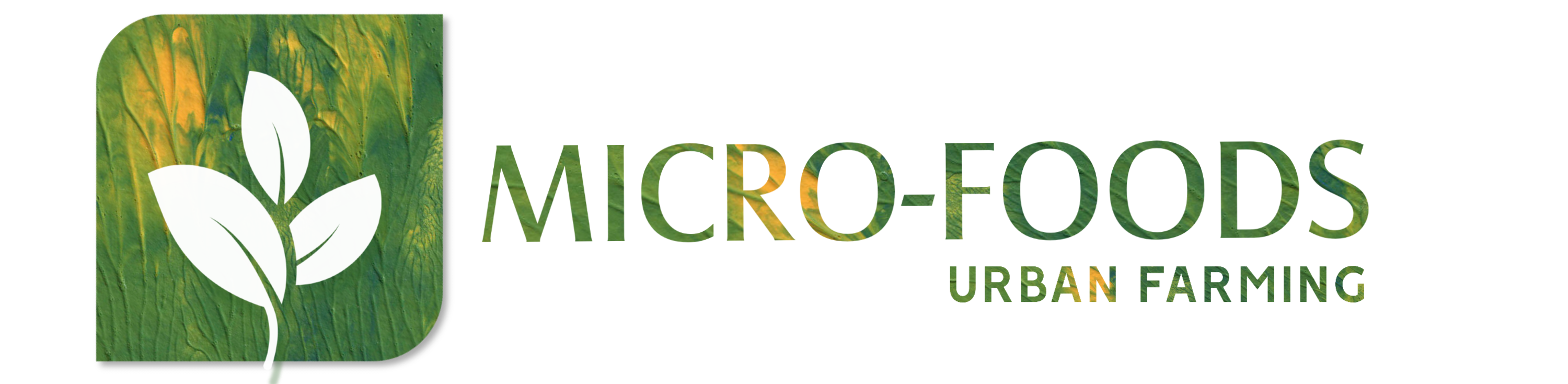 Logo Micro foods